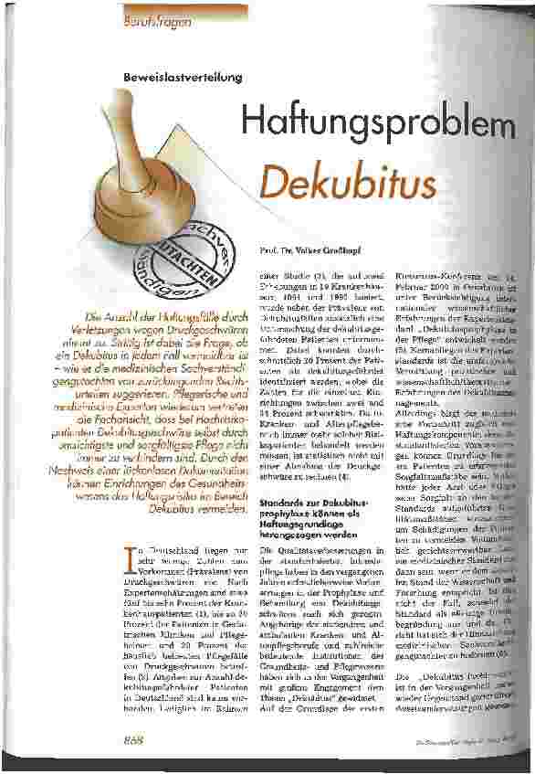 Vorschauseite 1: Haftungsproblem Dekubitus