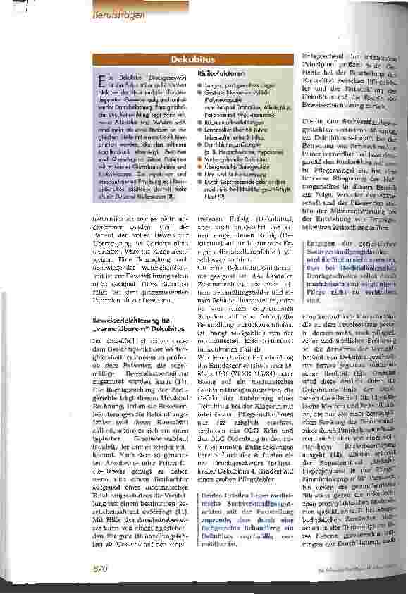 Vorschauseite 3: Haftungsproblem Dekubitus