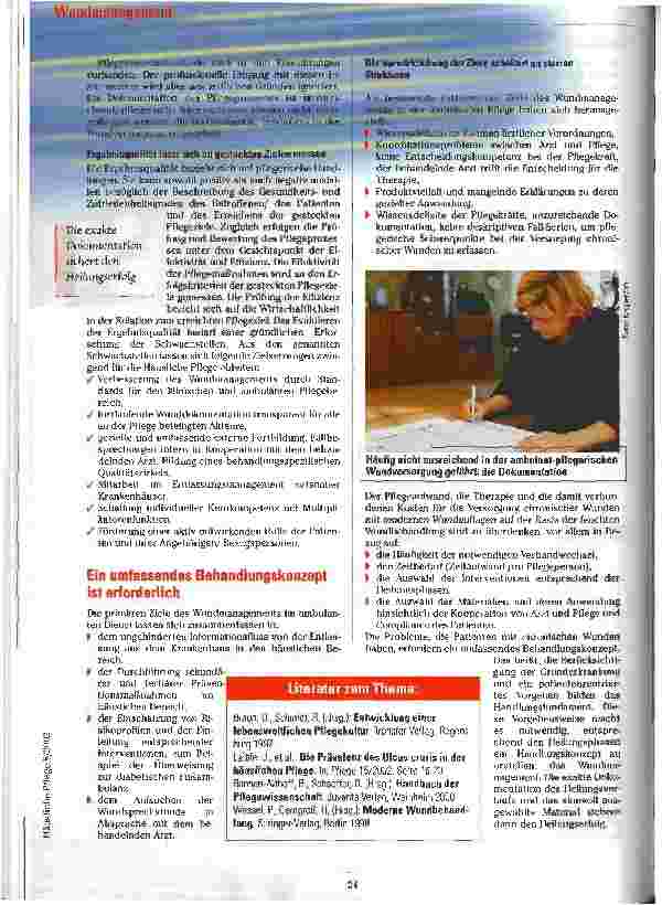 Vorschauseite 3: Es fehlen umfassende Konzepte