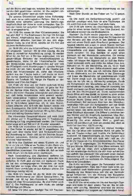 Vorschauseite 4: Pflegebericht