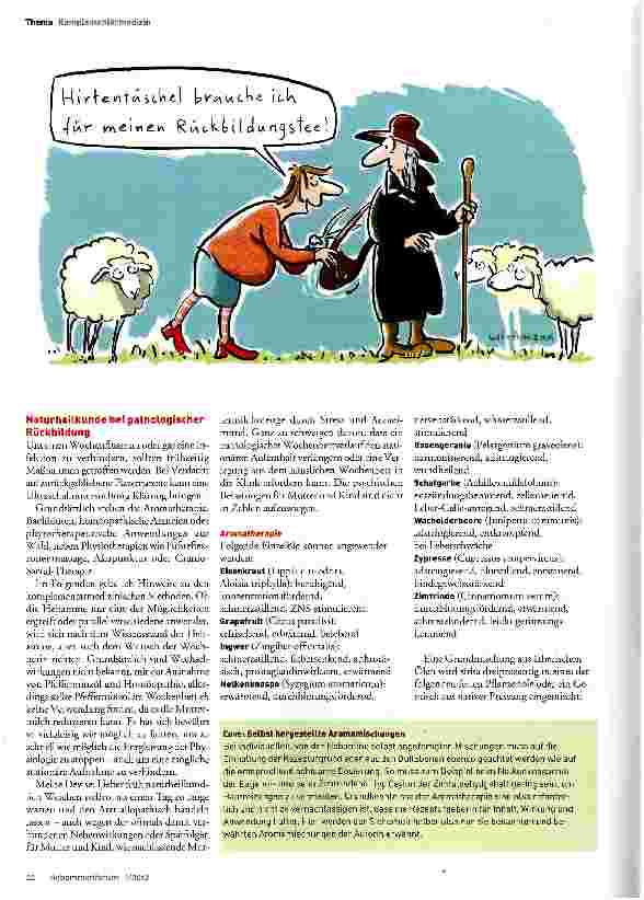 Vorschauseite 2: Mit Komplementärmedizin gegen verzögerte Rückbildung