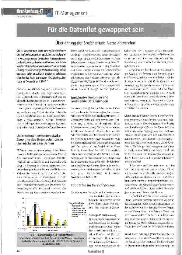 Vorschauseite 1: Für die Datenflut gewappnet sein