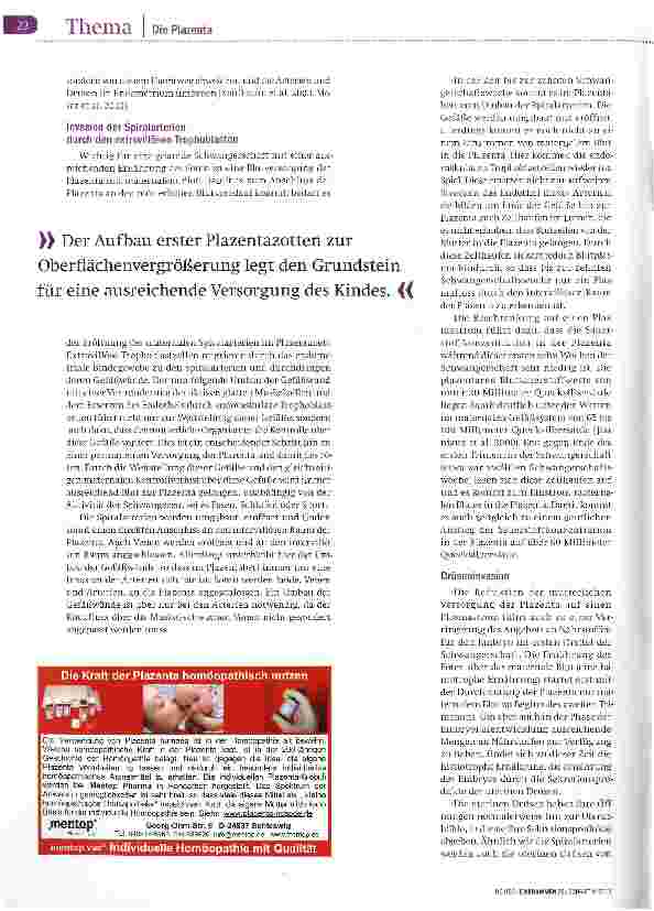 Vorschauseite 5: Bedeutendes Bindeglied