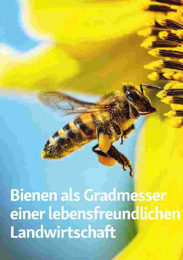 Vorschauseite 1: Bienen als Gradmesser einer lebensfreundlichen Landwirtschaft