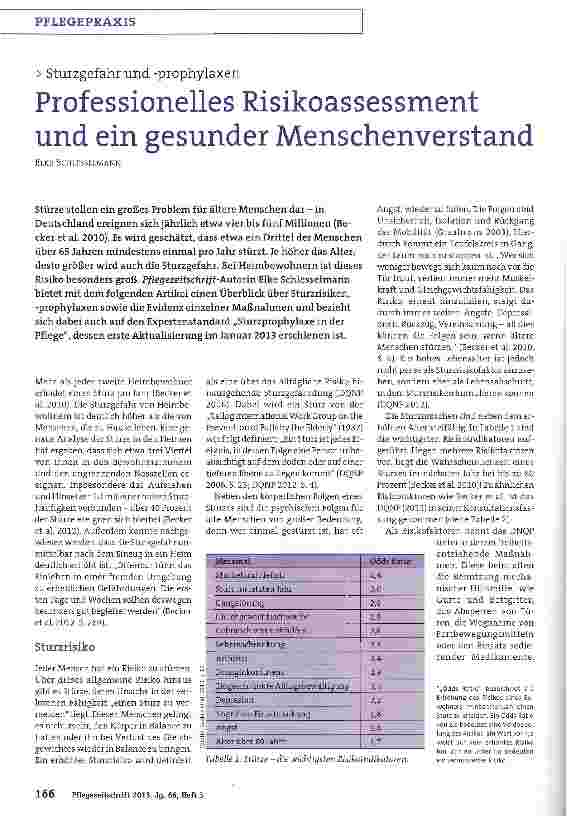 Vorschauseite 1: Professionelles Risikoassessment und ein gesunder Menschenverstand