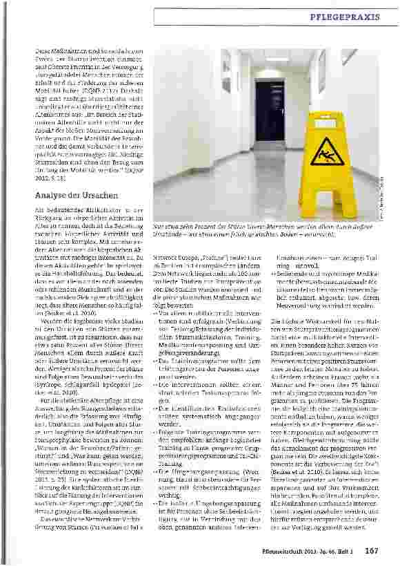 Vorschauseite 2: Professionelles Risikoassessment und ein gesunder Menschenverstand