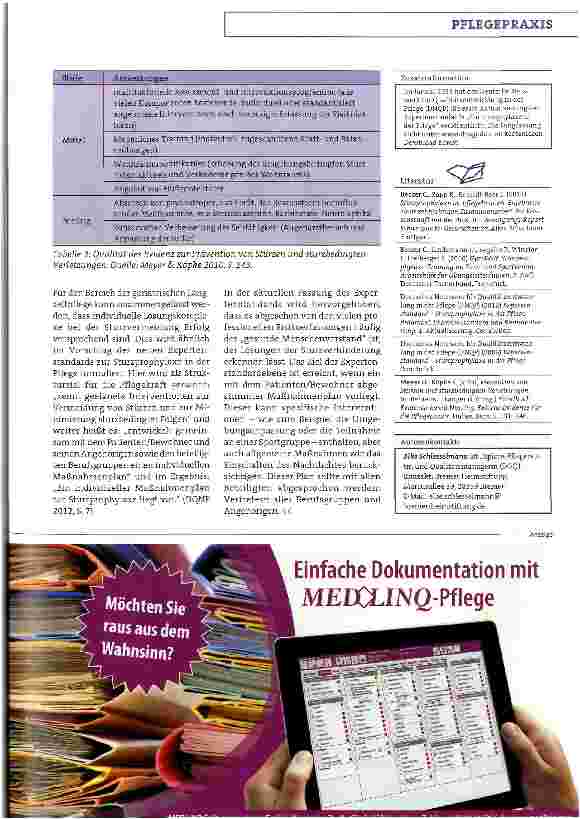 Vorschauseite 4: Professionelles Risikoassessment und ein gesunder Menschenverstand