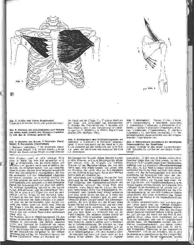 Vorschauseite 2: Die Anatomie des menschlichen Bewegungsapperates 2. Folge