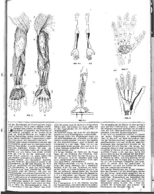 Vorschauseite 3: Die Anatomie des menschlichen Bewegungsapperates 2. Folge