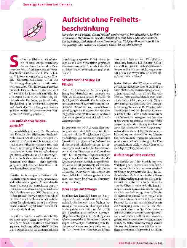 Vorschauseite 1: Aufsicht ohne Freiheitsbeschränkung
