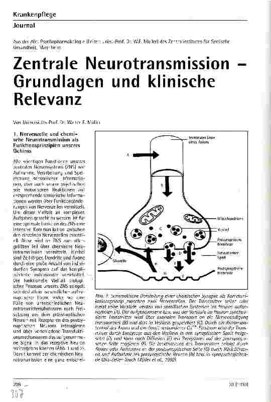 Vorschauseite 1: Zentrale Neurotransmission Grundlagen und klinische Relevanz