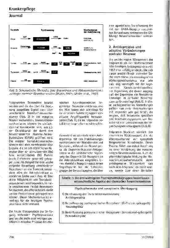 Vorschauseite 3: Zentrale Neurotransmission Grundlagen und klinische Relevanz