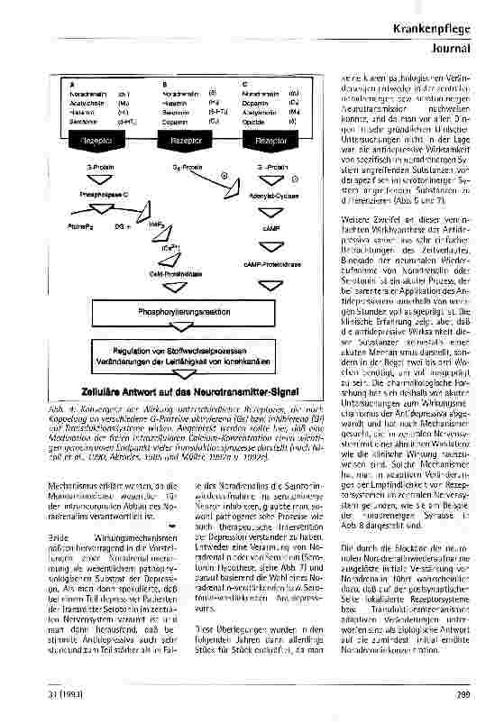 Vorschauseite 4: Zentrale Neurotransmission Grundlagen und klinische Relevanz