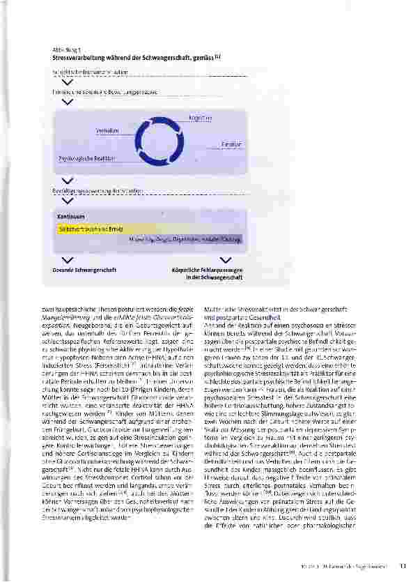 Vorschauseite 2: Psychobiologische Prozesse während der Schwangerschaft
