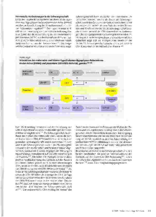 Vorschauseite 4: Psychobiologische Prozesse während der Schwangerschaft