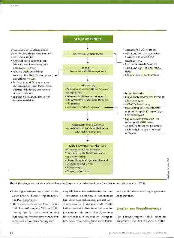 Vorschauseite 2: Leitlinie zum klinischen Management bei Rotatorenmanschettensyndrom
