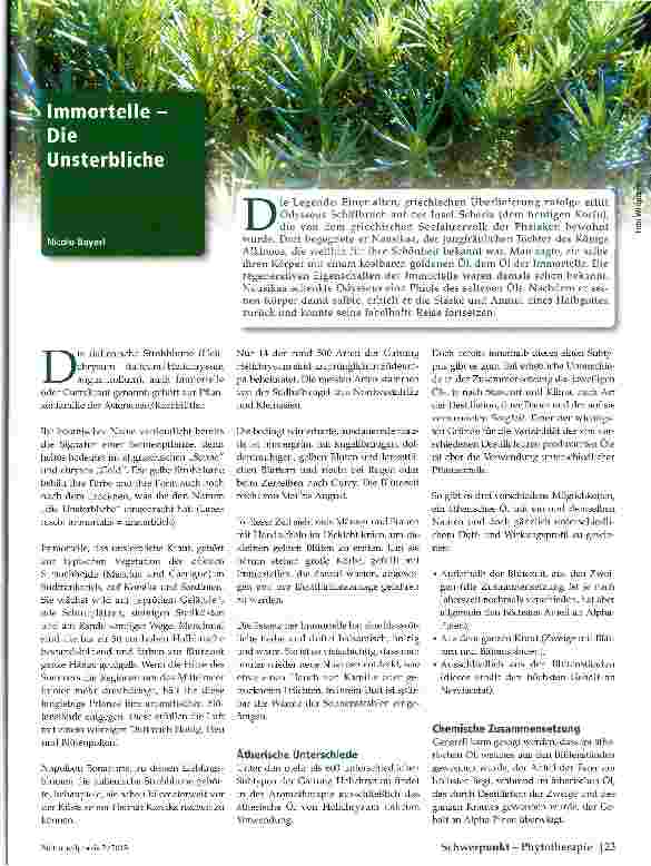 Vorschauseite 1: Immortelle -Unsterbliche