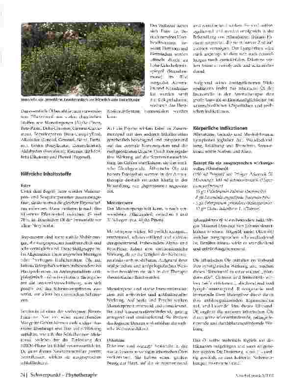 Vorschauseite 2: Immortelle -Unsterbliche