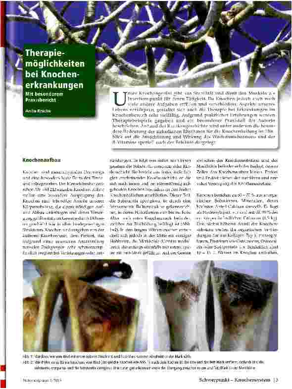 Vorschauseite 1: Therapiemöglichkeiten bei Knochenerkrankungen
