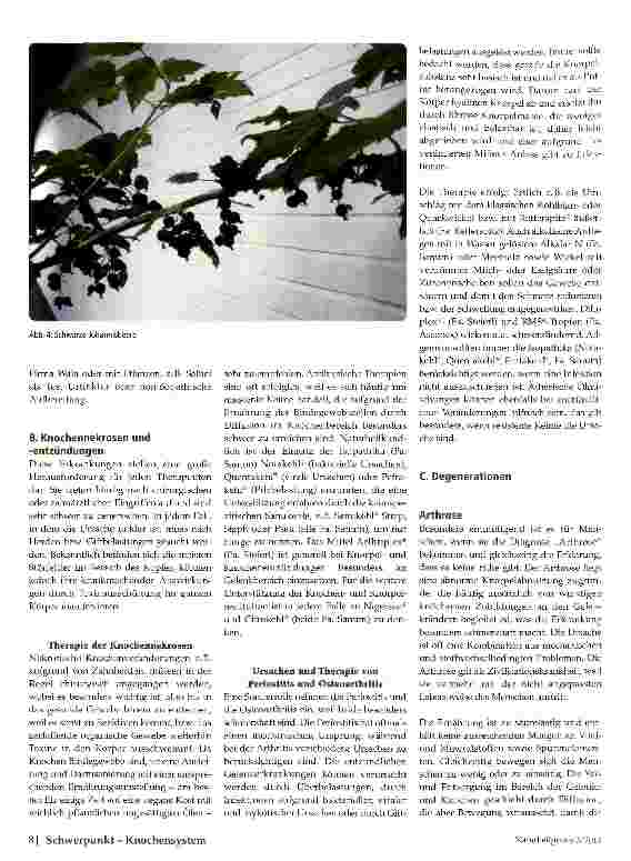 Vorschauseite 4: Therapiemöglichkeiten bei Knochenerkrankungen