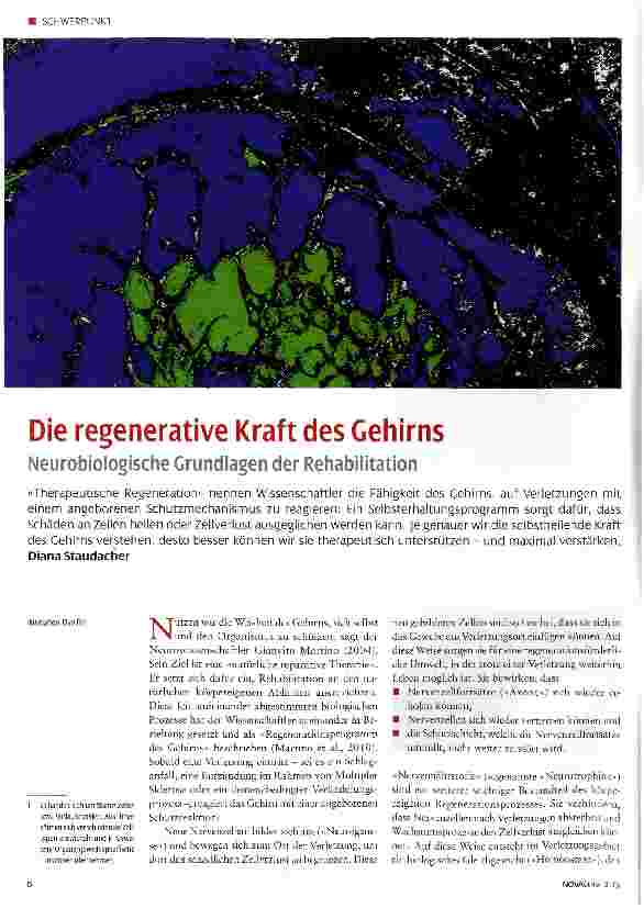 Vorschauseite 1: Die regenerative Kraft des Gehirns