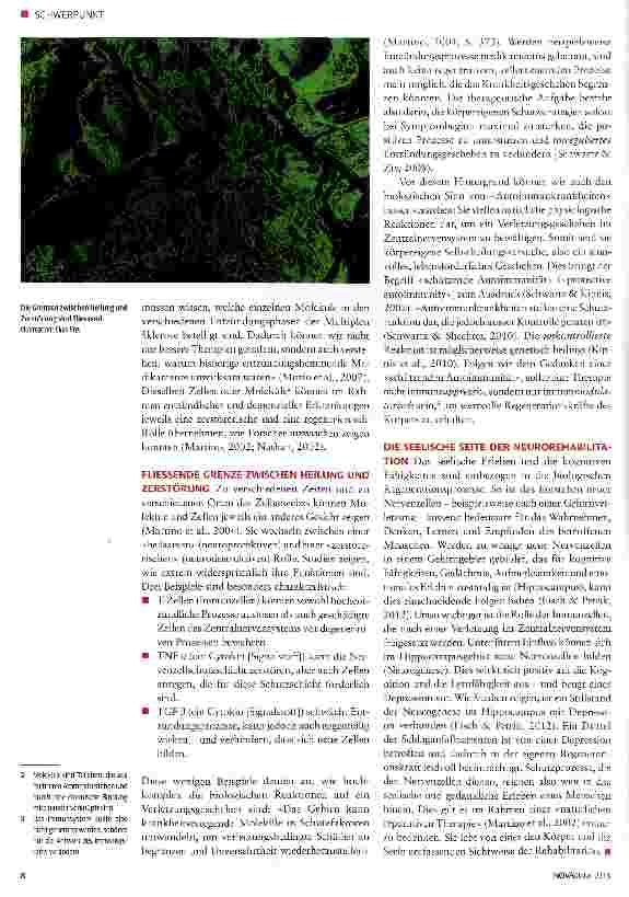 Vorschauseite 3: Die regenerative Kraft des Gehirns