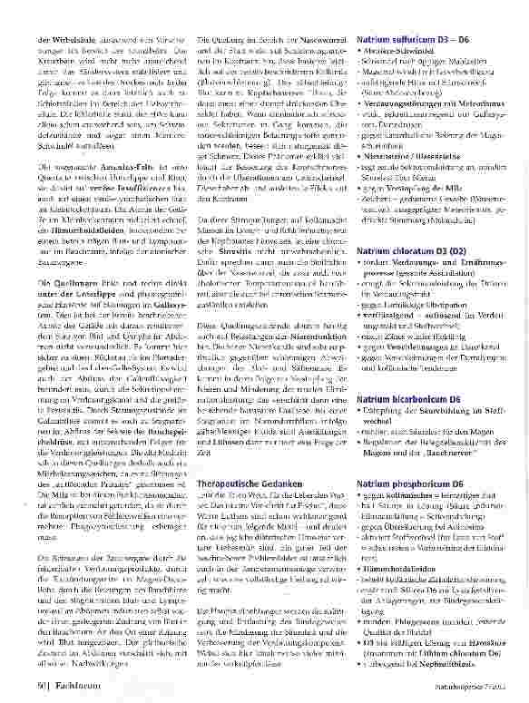 Vorschauseite 3: Luthers Leiden