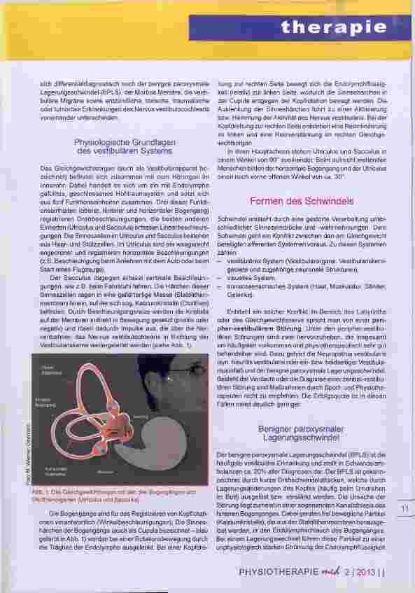 Vorschauseite 2: Schwindelerkrankungen