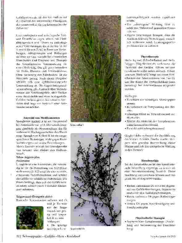 Vorschauseite 3: Arteriosklerose