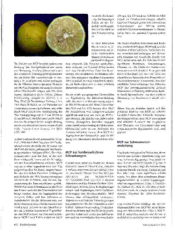 Vorschauseite 2: Modifizierte Zitrospektive