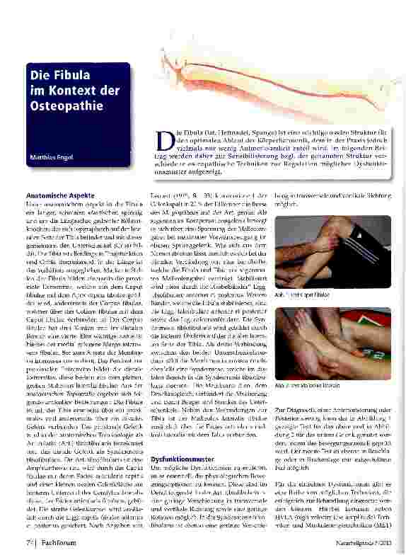 Vorschauseite 1: Die Fibula im Kontext der Osteopathie