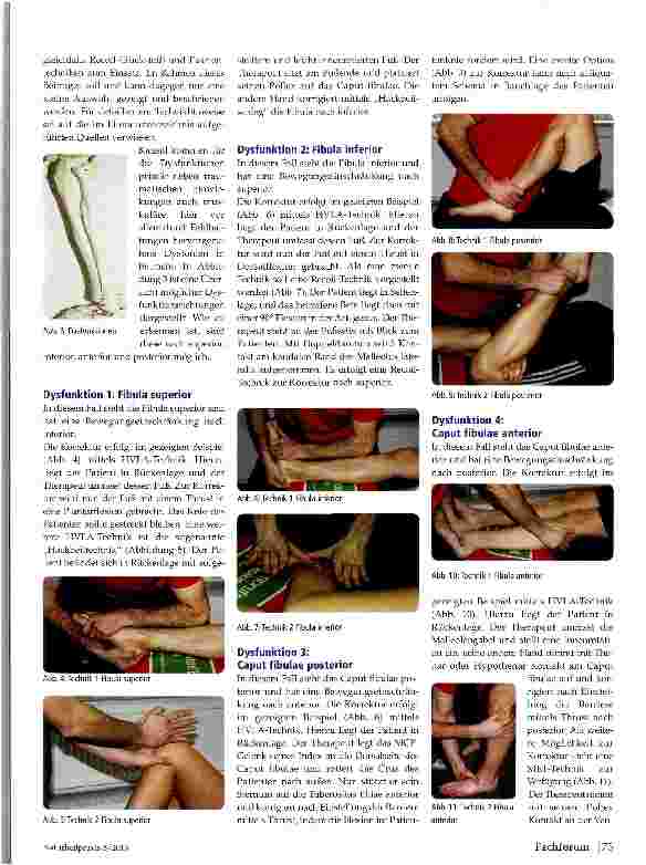 Vorschauseite 2: Die Fibula im Kontext der Osteopathie