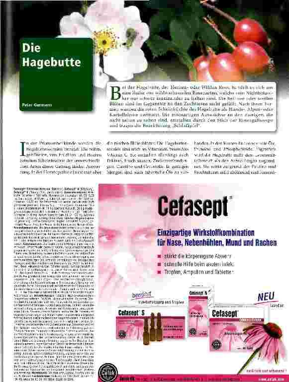 Vorschauseite 1: Die Hagebutte