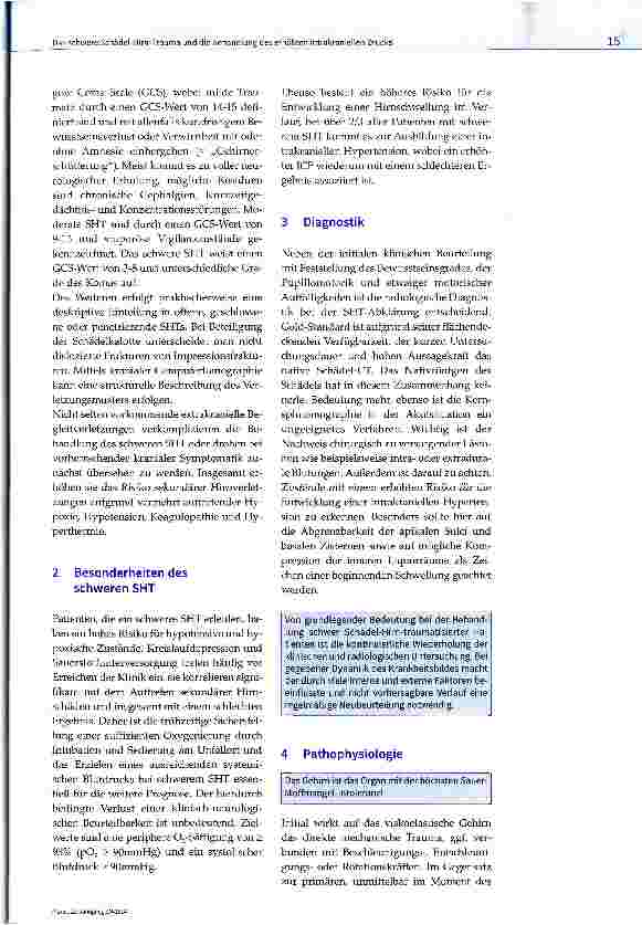 Vorschauseite 2: Das schwere Schädel-Hirn-Trauma und die Behandlung des erhöhten intrakraniellen Drucks