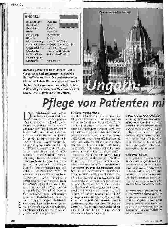 Vorschauseite 1: Ungarn: Pflege von Patienten mit Schlaganfall