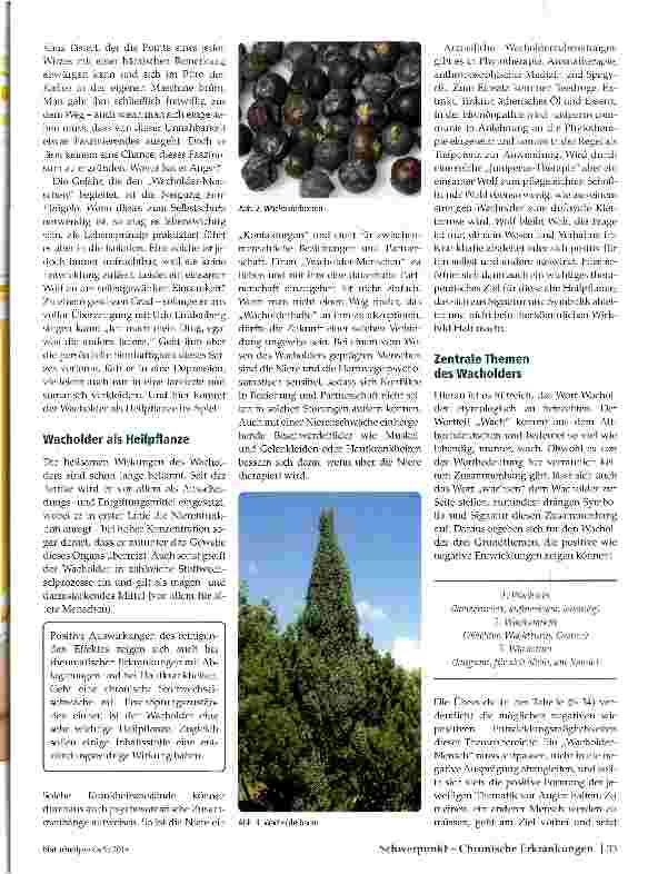 Vorschauseite 2: Juniperus commums Die Leiden des einsamen Wolfes