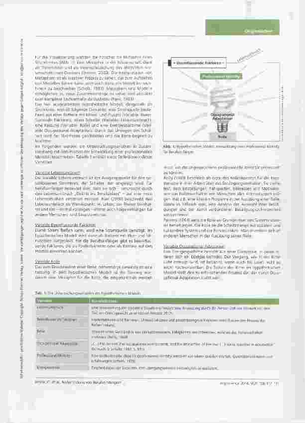Vorschauseite 4: Rollenfindung von Berufseinsteigern in der Ergotherapie Anpassungsstrategien, Ressourcen und Barrieren