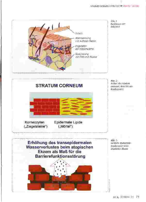 Vorschauseite 2: Trockene Haut Bedeutung und Behandlungsmöglichkeiten