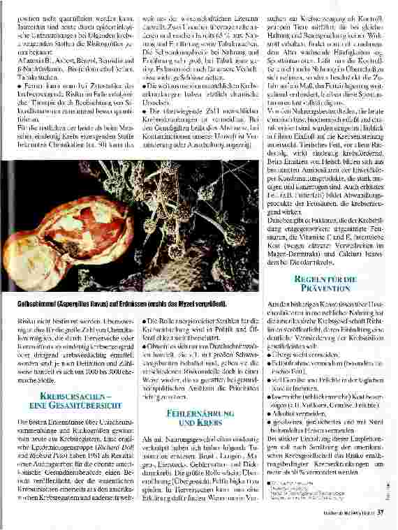 Vorschauseite 2: Umwelt und Krebs Umweltbedingte Krebsursachen