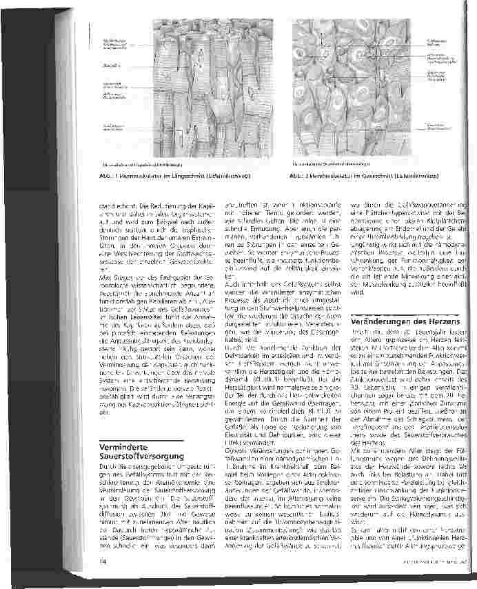Vorschauseite 2: Altersund Organveränderungen 3. Folge: Herz-Kreislauf-System