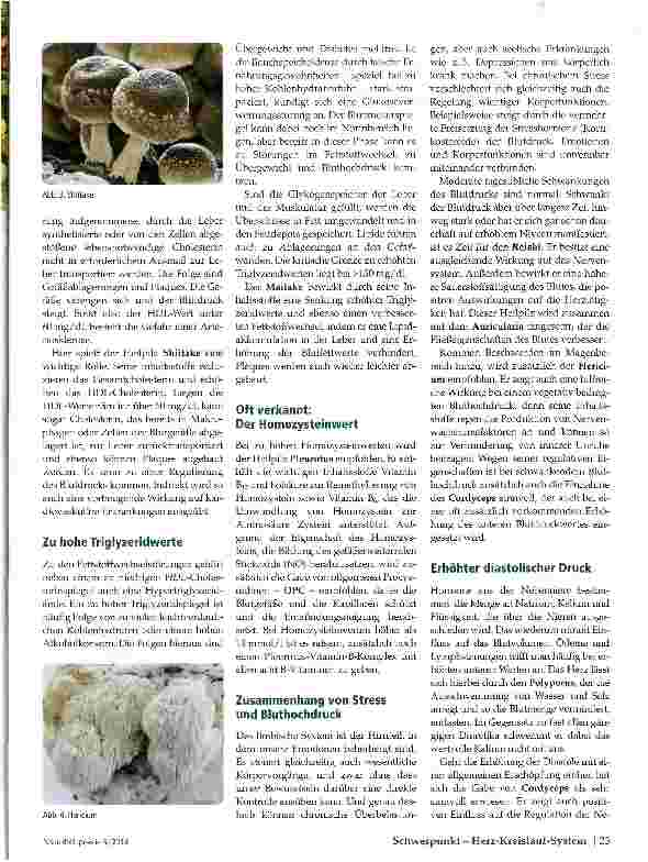 Vorschauseite 2: Bluthochdruck Behandlungsmöglichkeiten mit Heilpilzen