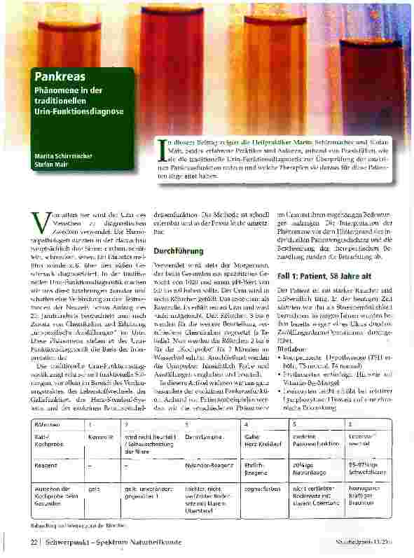 Vorschauseite 1: Pankreas