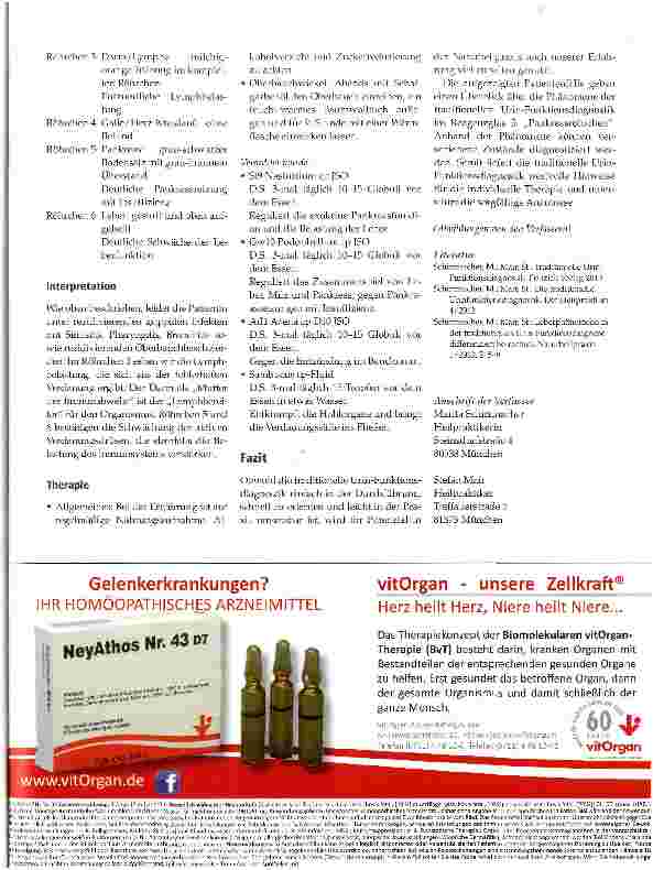 Vorschauseite 4: Pankreas