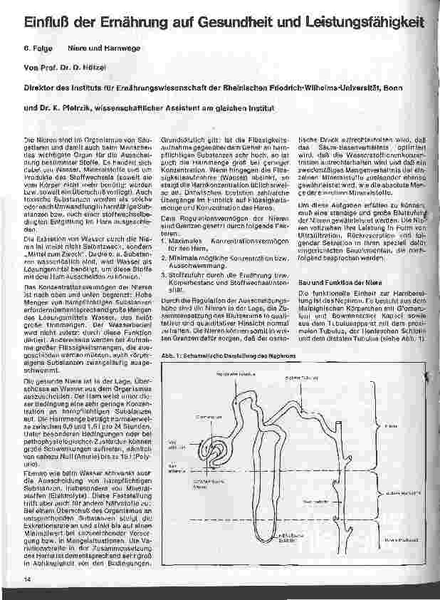 Vorschauseite 1: Einfluß der Ernährung auf Gesundheit und Leistungsfähigkeit 6. Folge: Niere und Harnwege