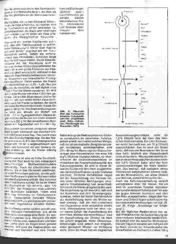 Vorschauseite 2: Einfluß der Ernährung auf Gesundheit und Leistungsfähigkeit 6. Folge: Niere und Harnwege