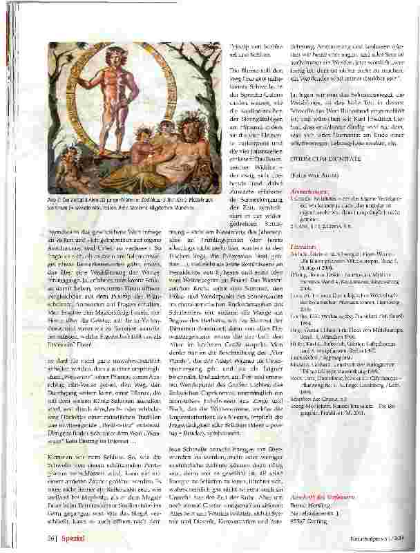 Vorschauseite 4: Das Salomonsspiegel
