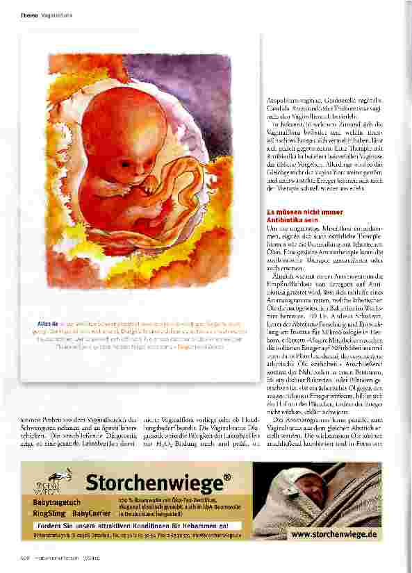 Vorschauseite 3: Die Vaginalflora und ihre Bedeutung in der Schwangerschaft