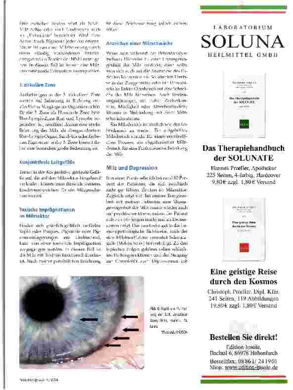 Vorschauseite 3: Die Milz in der Indologie
