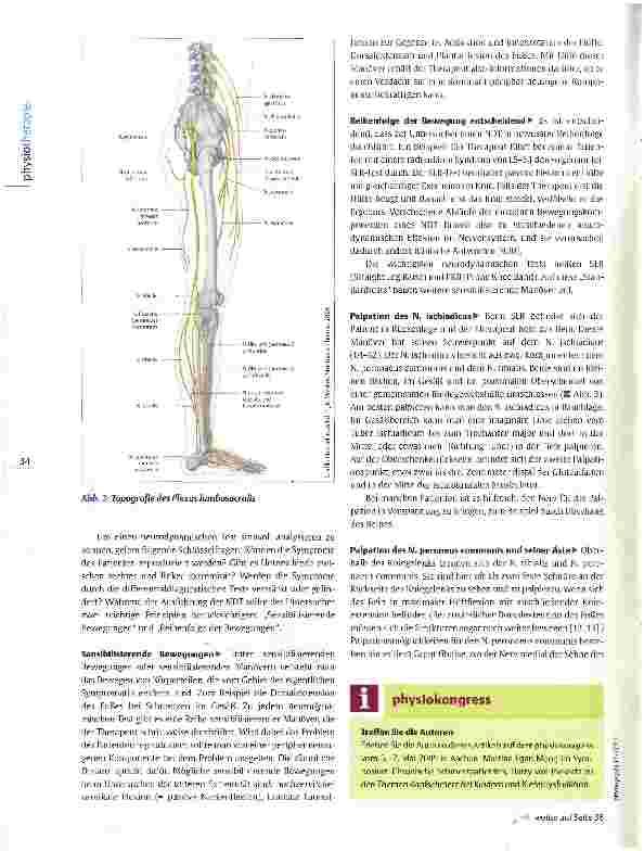 Vorschauseite 3: Untere Extremität: Tests der Neurodynamik Den Nerven auf der Spur