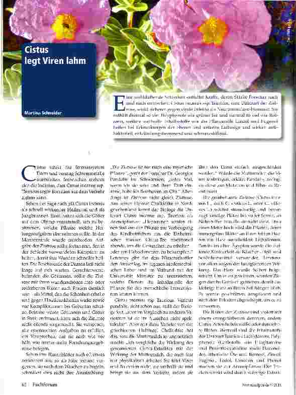 Vorschauseite 1: Cistus legt Viren lahm